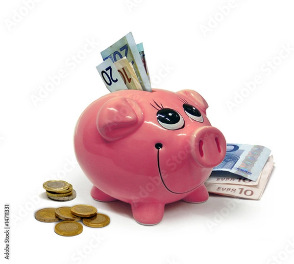 Obraz Hucha con dinero