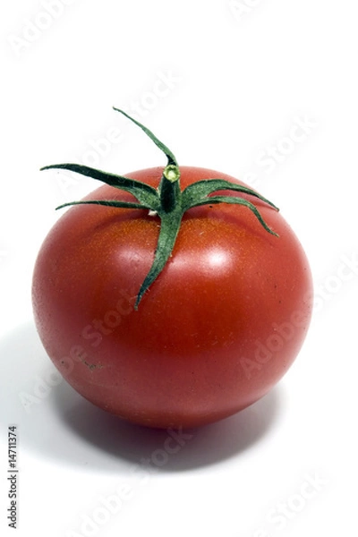 Obraz red tomato isolated on white