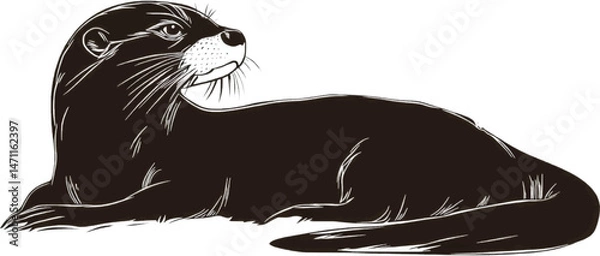 Obraz Striking Black and White Silhouette of a River Otter at Water's Edge
