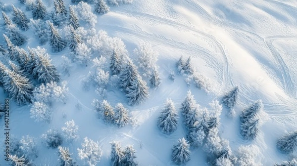Fototapeta Aerial view of frosted evergreen trees on snowy landscape.