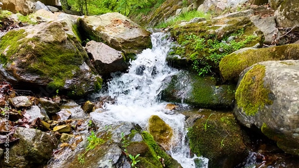 Obraz Valley for Summer Vacation ,Slow Motion ,Clear Stream flowing over rocks and rocks ,Rich Valley in slow motion ,Crystal clear water spills over rocks ,Silent natural scene