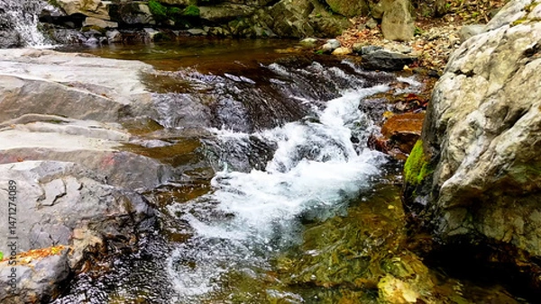 Fototapeta Slow Motion Drone Footage of Crystal-Clear Stream Flow in a Serene Forest Valley, Featuring Gentle Ripples, Tranquil Water Sounds, and the Pristine Beauty of Nature