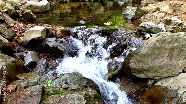 Fototapeta Slow Motion Drone Footage of Crystal-Clear Stream Flow in a Serene Forest Valley, Featuring Gentle Ripples, Tranquil Water Sounds, and the Pristine Beauty of Nature