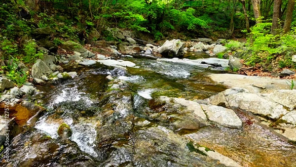 Fototapeta Slow Motion Drone Footage of Crystal-Clear Stream Flow in a Serene Forest Valley, Featuring Gentle Ripples, Tranquil Water Sounds, and the Pristine Beauty of Nature
