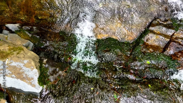 Fototapeta Slow Motion Drone Footage of Crystal-Clear Stream Flow in a Serene Forest Valley, Featuring Gentle Ripples, Tranquil Water Sounds, and the Pristine Beauty of Nature