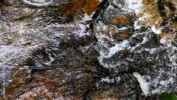 Fototapeta Slow Motion Drone Footage of Crystal-Clear Stream Flow in a Serene Forest Valley, Featuring Gentle Ripples, Tranquil Water Sounds, and the Pristine Beauty of Nature