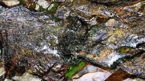 Fototapeta Slow Motion Drone Footage of Crystal-Clear Stream Flow in a Serene Forest Valley, Featuring Gentle Ripples, Tranquil Water Sounds, and the Pristine Beauty of Nature