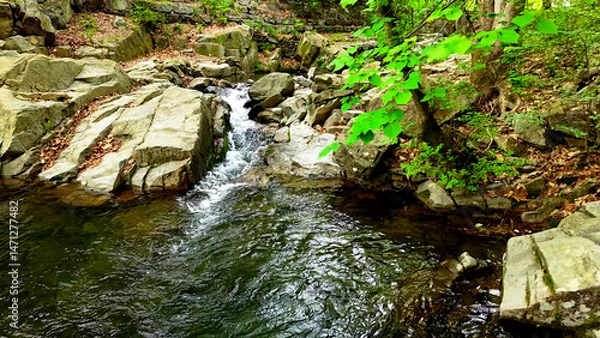 Fototapeta Slow Motion Drone Footage of Crystal-Clear Stream Flow in a Serene Forest Valley, Featuring Gentle Ripples, Tranquil Water Sounds, and the Pristine Beauty of Nature