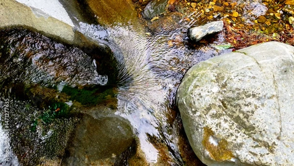 Fototapeta Slow Motion Drone Footage of Crystal-Clear Stream Flow in a Serene Forest Valley, Featuring Gentle Ripples, Tranquil Water Sounds, and the Pristine Beauty of Nature