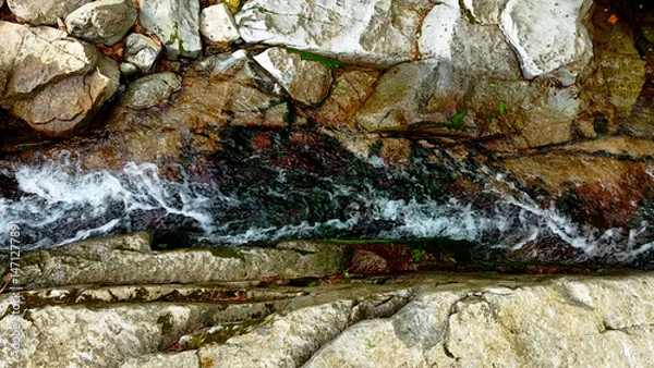 Fototapeta Slow Motion Drone Footage of Crystal-Clear Stream Flow in a Serene Forest Valley, Featuring Gentle Ripples, Tranquil Water Sounds, and the Pristine Beauty of Nature