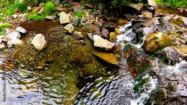 Fototapeta Slow Motion Drone Footage of Crystal-Clear Stream Flow in a Serene Forest Valley, Featuring Gentle Ripples, Tranquil Water Sounds, and the Pristine Beauty of Nature