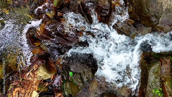 Fototapeta Slow Motion Drone Footage of Crystal-Clear Stream Flow in a Serene Forest Valley, Featuring Gentle Ripples, Tranquil Water Sounds, and the Pristine Beauty of Nature