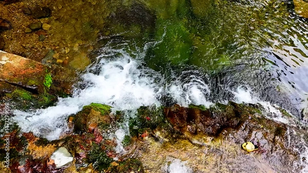 Fototapeta Slow Motion Drone Footage of Crystal-Clear Stream Flow in a Serene Forest Valley, Featuring Gentle Ripples, Tranquil Water Sounds, and the Pristine Beauty of Nature
