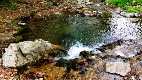 Fototapeta Slow Motion Drone Footage of Crystal-Clear Stream Flow in a Serene Forest Valley, Featuring Gentle Ripples, Tranquil Water Sounds, and the Pristine Beauty of Nature