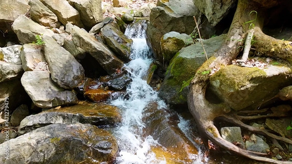 Fototapeta Slow Motion Drone Footage of Crystal-Clear Stream Flow in a Serene Forest Valley, Featuring Gentle Ripples, Tranquil Water Sounds, and the Pristine Beauty of Nature