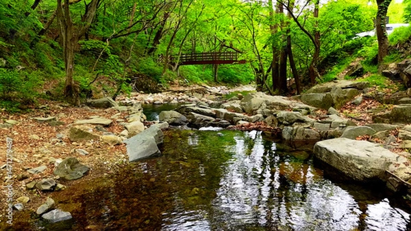 Fototapeta Slow Motion Drone Footage of Crystal-Clear Stream Flow in a Serene Forest Valley, Featuring Gentle Ripples, Tranquil Water Sounds, and the Pristine Beauty of Nature