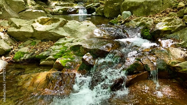 Fototapeta Slow Motion Drone Footage of Crystal-Clear Stream Flow in a Serene Forest Valley, Featuring Gentle Ripples, Tranquil Water Sounds, and the Pristine Beauty of Nature
