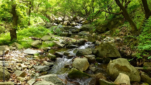 Fototapeta Slow Motion Drone Footage of Crystal-Clear Stream Flow in a Serene Forest Valley, Featuring Gentle Ripples, Tranquil Water Sounds, and the Pristine Beauty of Nature