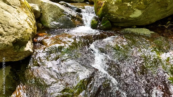 Fototapeta Slow Motion Drone Footage of Crystal-Clear Stream Flow in a Serene Forest Valley, Featuring Gentle Ripples, Tranquil Water Sounds, and the Pristine Beauty of Nature