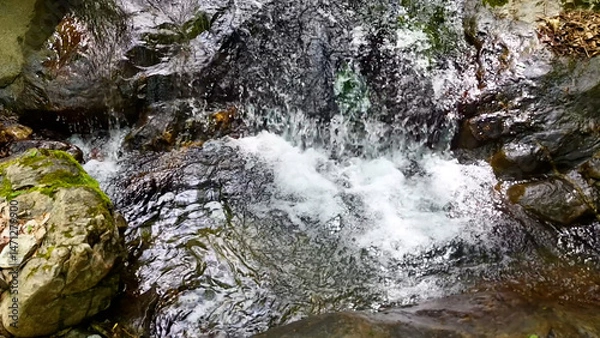 Fototapeta Slow Motion Drone Footage of Crystal-Clear Stream Flow in a Serene Forest Valley, Featuring Gentle Ripples, Tranquil Water Sounds, and the Pristine Beauty of Nature