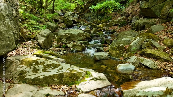 Fototapeta Slow Motion Drone Footage of Crystal-Clear Stream Flow in a Serene Forest Valley, Featuring Gentle Ripples, Tranquil Water Sounds, and the Pristine Beauty of Nature