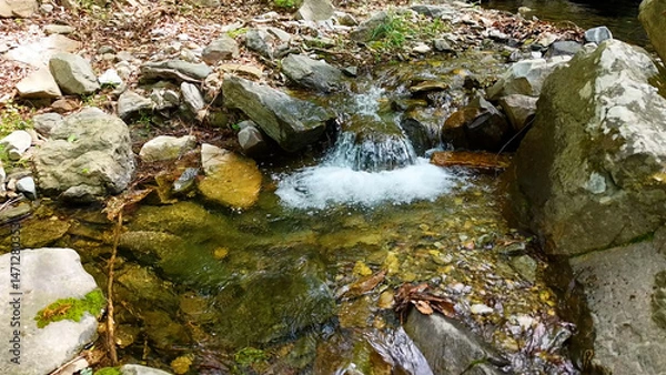 Fototapeta Slow Motion Drone Footage of Crystal-Clear Stream Flow in a Serene Forest Valley, Featuring Gentle Ripples, Tranquil Water Sounds, and the Pristine Beauty of Nature