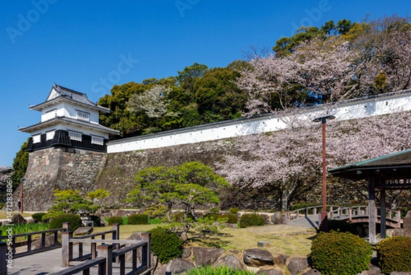 Obraz 玖島城址と桜
