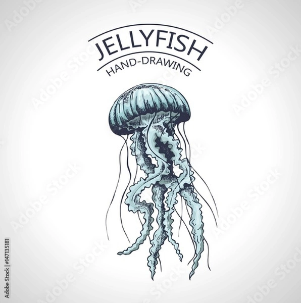 Obraz sketch isolated jellyfish