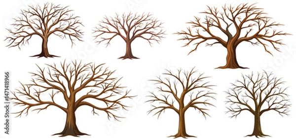 Obraz set of big trees without leaves , dead old trees on ,White background ,vector