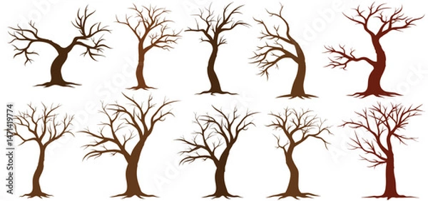 Fototapeta Vector Set of Brown Cartoon Bare Trees without Leaves vector
