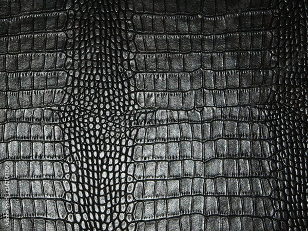 Obraz snake skin