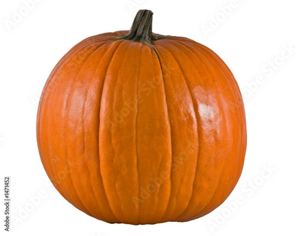 Obraz big pumpkin alpha