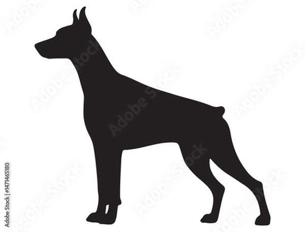 Obraz DOBERMAN DOG SILHOUETTE