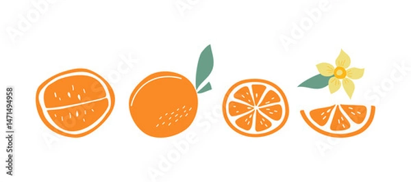 Fototapeta Oranges, set with simple abstract fruits and flowers. Slices of fruity, natural food. Color flat illustration. Isolated white background.