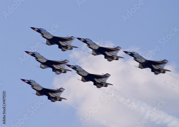 Fototapeta thunderbird flyover