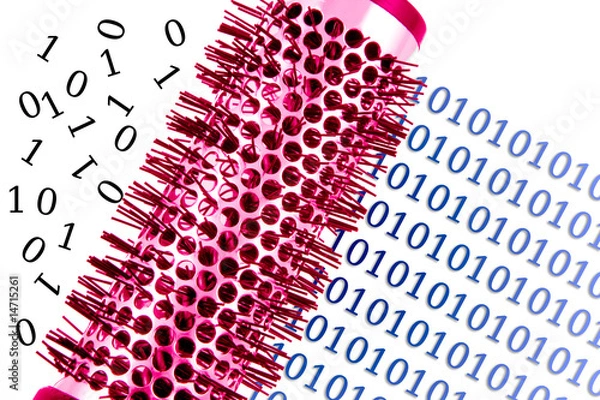 Obraz DONNEES INFORMATIQUES