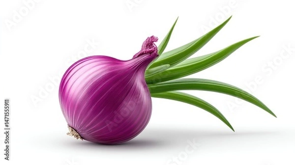Obraz Realistic Onion on Plan white Background