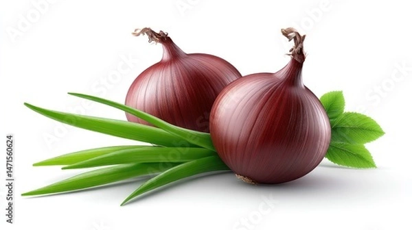 Obraz Realistic Onions on Plan white Background