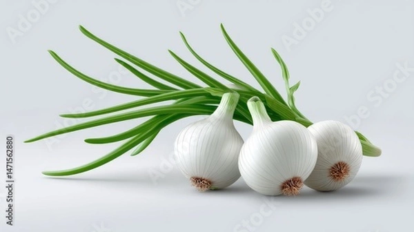 Obraz Realistic Onions on Plan white Background