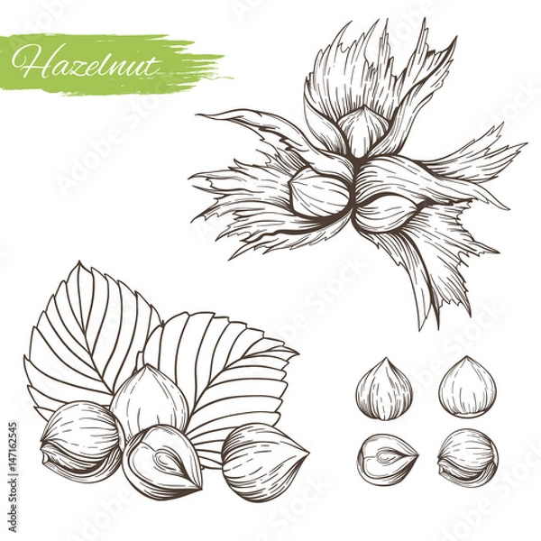 Obraz Set of vector sketches