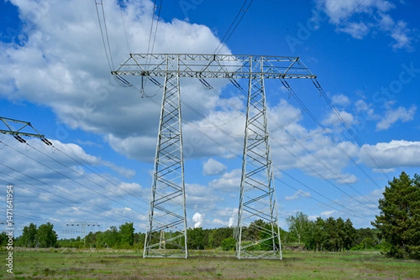 Fototapeta Power poles in spring on the field and meadow, Brandenburg, Germany