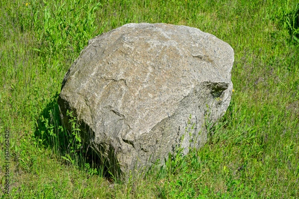 Obraz Stone, boulder, in a meadow,