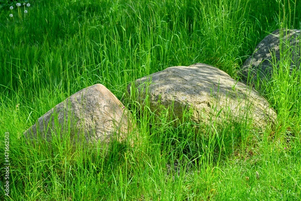 Obraz Stone, boulder, in a meadow,