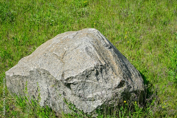 Obraz Stone, boulder, in a meadow,