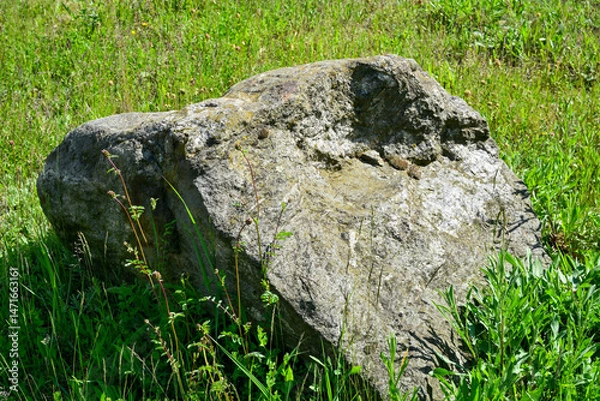 Obraz Stone, boulder, in a meadow,