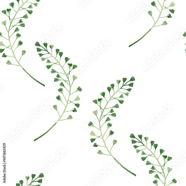Obraz Stylized minimalist modern watercolor botanical pattern. Wallpaper, textile seamless background. Green foliage pattern. Shepherds purse meadow plant.