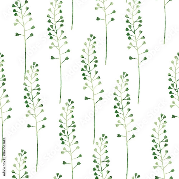 Obraz Stylized minimalist modern watercolor botanical pattern. Wallpaper, textile seamless background. Green foliage pattern. Shepherds purse meadow plant.