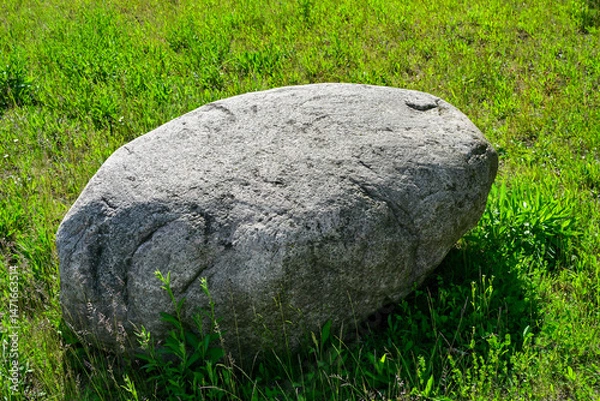 Obraz Stone, boulder, in a meadow,