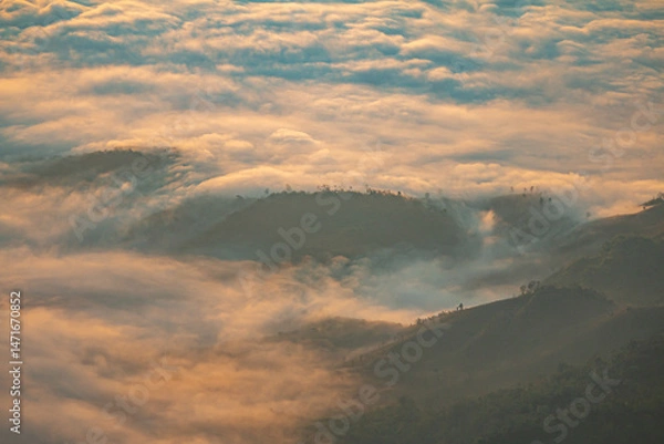 Obraz The morning light reflecting off the clouds is so beautiful.