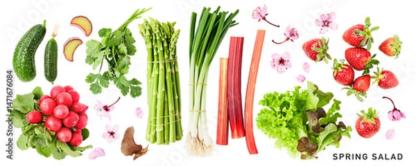 Fototapeta Spring salad vegetables photography collection isolated. PNG with transparent background. Flat lay. Without shadow.
